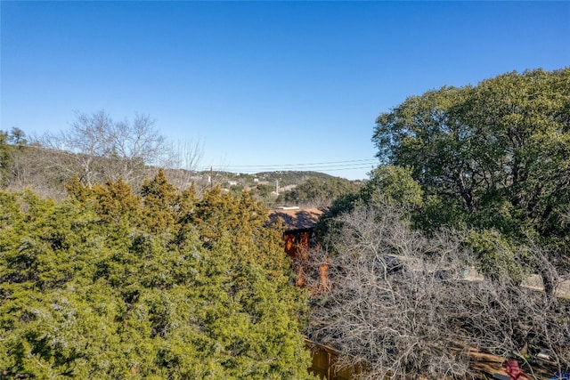 10509 W Lakeview Dr, Jonestown, TX 78645