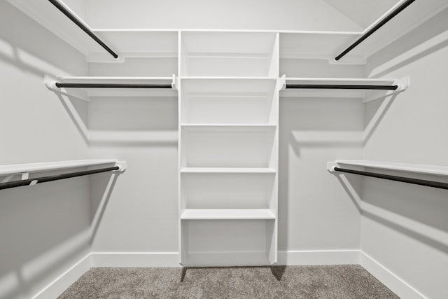 walk in closet with carpet