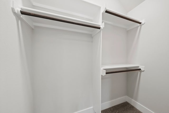 walk in closet with carpet floors