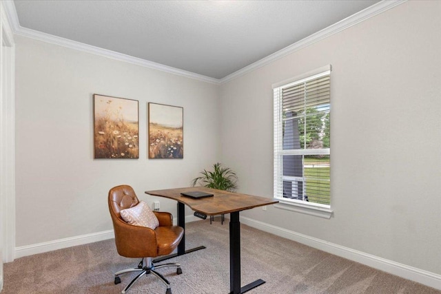 carpeted home office with crown molding and baseboards