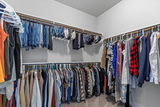 spacious closet featuring carpet