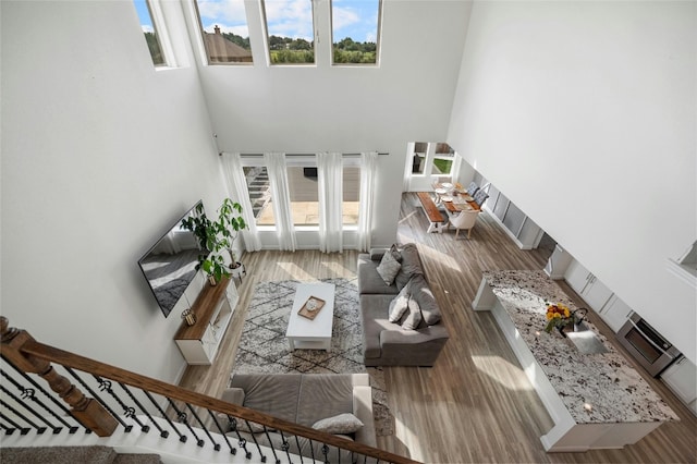 living room with a towering ceiling, a healthy amount of sunlight, and wood finished floors