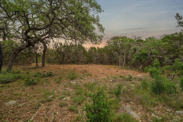 440 Currie Ranch Rd, Wimberley, TX 78676 - nature at dusk featuring a view of trees