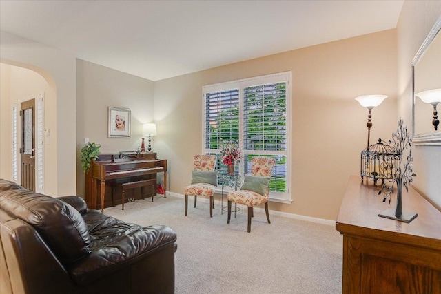 15617 Pumpkin Ridge Dr, Austin, TX 78717 - living room featuring arched walkways, carpet flooring, and baseboards