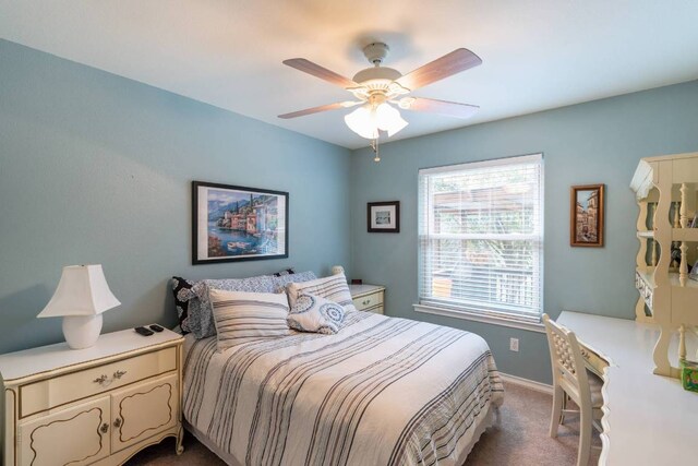 4906 Thunderbird Dr, Lago Vista, TX 78645 - carpeted bedroom featuring baseboards and ceiling fan