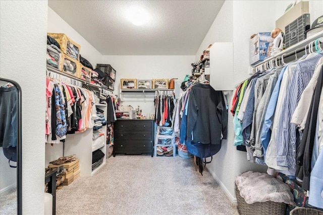 walk in closet with carpet flooring