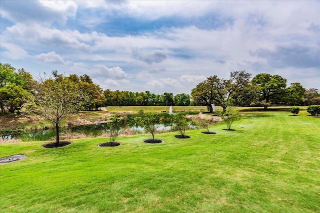 view of home's community with a water view and a lawn
