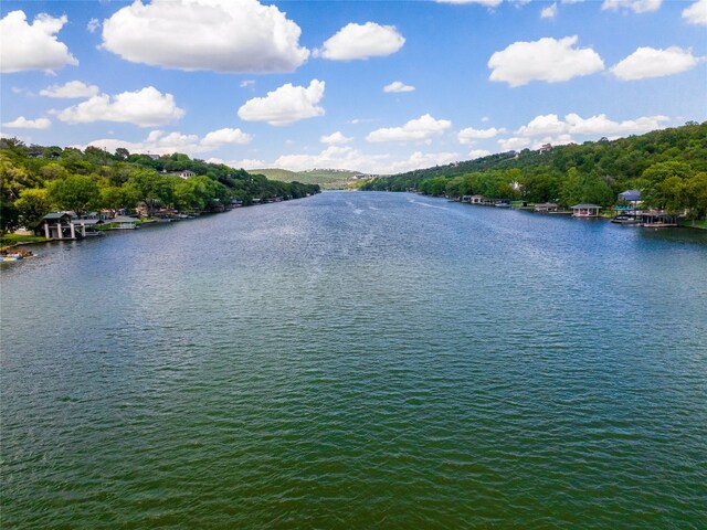 2805 Rivercrest Dr, Austin, TX 78746 - photo 11