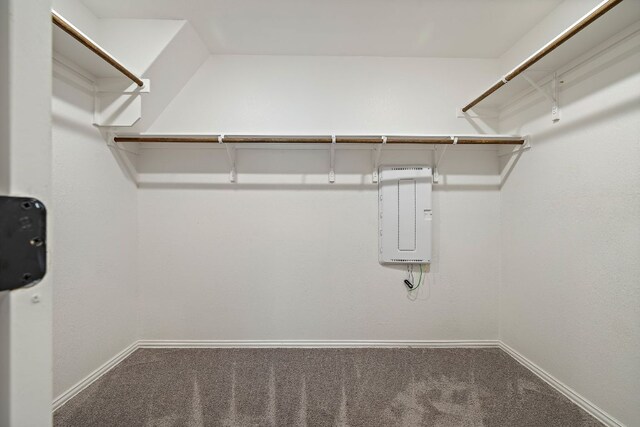 135 Hackberry Ln, Bastrop, TX 78602 - spacious closet with electric panel and carpet floors