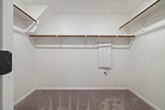 135 Hackberry Ln, Bastrop, TX 78602 - walk in closet featuring carpet floors and electric panel