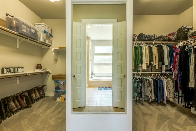 2724 Rain Song Dr, Leander, TX 78641 - walk in closet featuring carpet flooring
