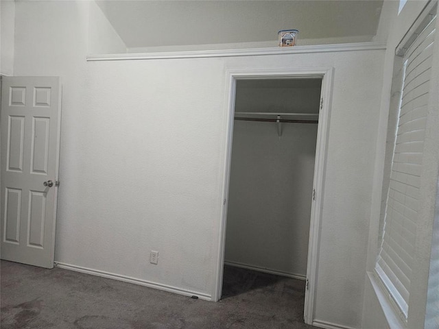 unfurnished bedroom with a spacious closet, a closet, and carpet floors