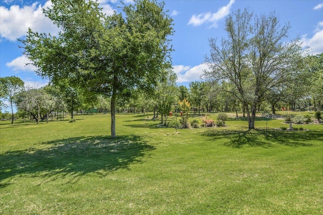 view of community with a yard