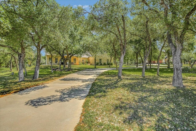 view of home's community with a lawn and concrete driveway