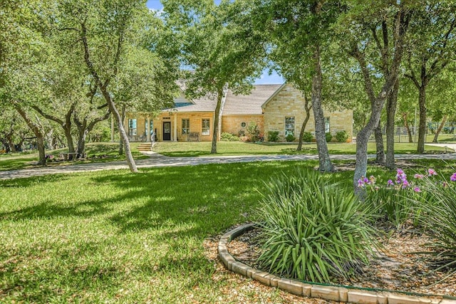 view of front facade with a front lawn and stone siding