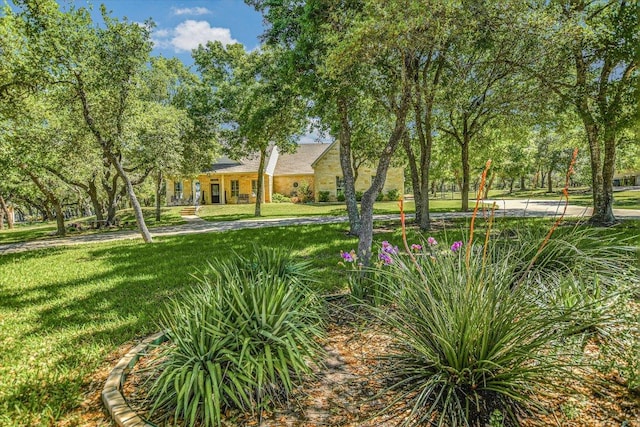 view of community featuring a lawn