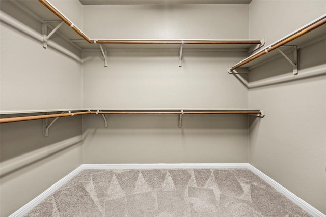 3306 Castleton Dr, Killeen, TX 76542 - walk in closet with carpet flooring