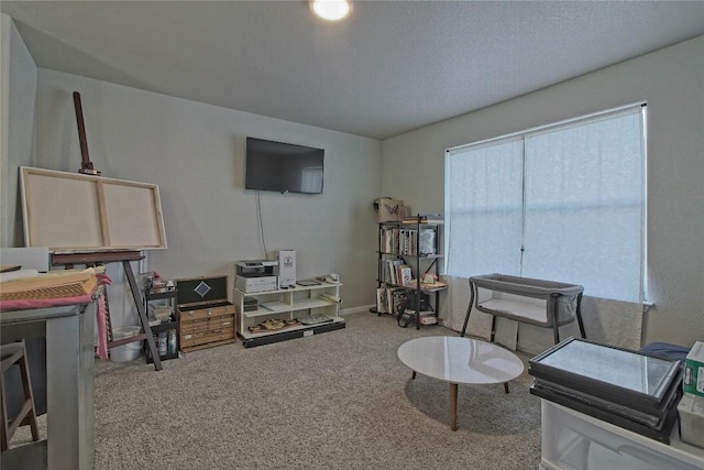 living area with carpet
