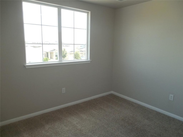 513 Shiner Ln, Georgetown, TX 78626 - photo 24