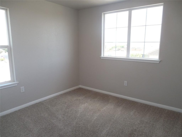 513 Shiner Ln, Georgetown, TX 78626 - photo 25