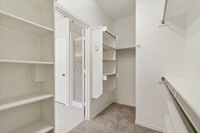 walk in closet with carpet floors