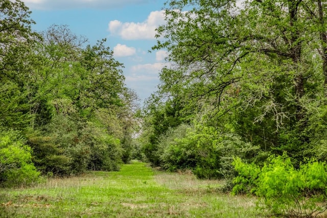 TBD(349.84Acres) County Road 125, Ledbetter, TX 78946 - photo 1