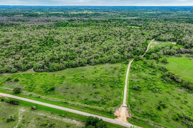 TBD(349.84Acres) County Road 125, Ledbetter, TX 78946 - photo 4