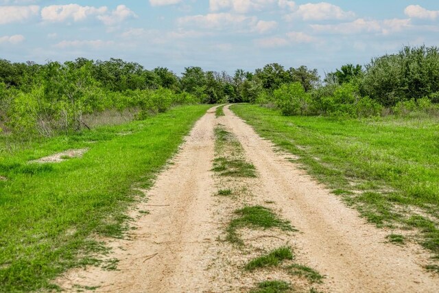 TBD(349.84Acres) County Road 125, Ledbetter, TX 78946 - photo 28
