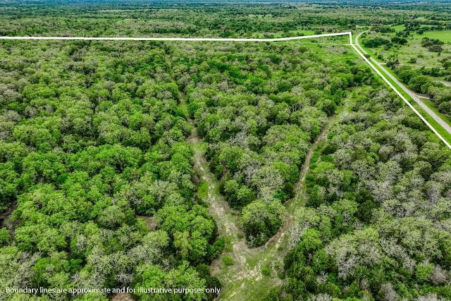TBD(349.84Acres) County Road 125, Ledbetter, TX 78946 - photo 30