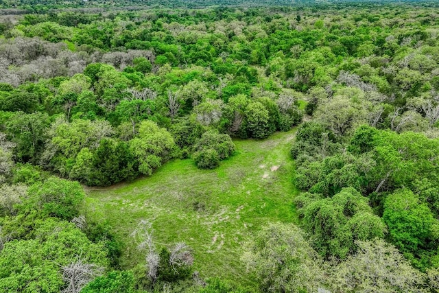 TBD(349.84Acres) County Road 125, Ledbetter, TX 78946 - photo 33