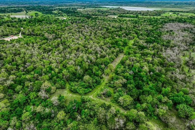 TBD(349.84Acres) County Road 125, Ledbetter, TX 78946 - photo 35