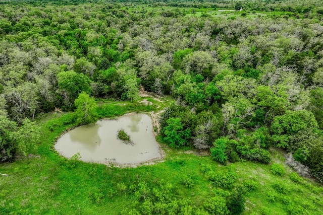 TBD(349.84Acres) County Road 125, Ledbetter, TX 78946 - photo 37