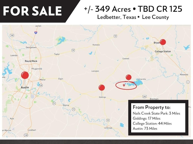 TBD(349.84Acres) County Road 125, Ledbetter, TX 78946 - photo 40