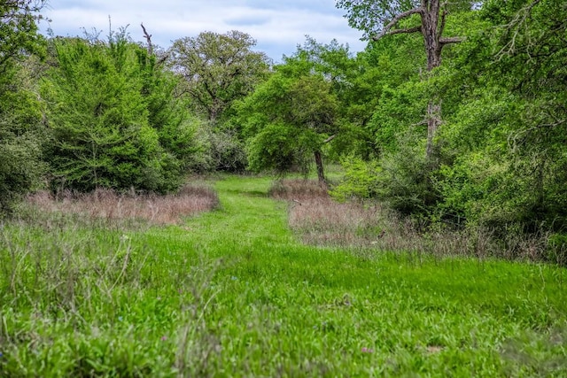 TBD(349.84Acres) County Road 125, Ledbetter, TX 78946 - photo 7