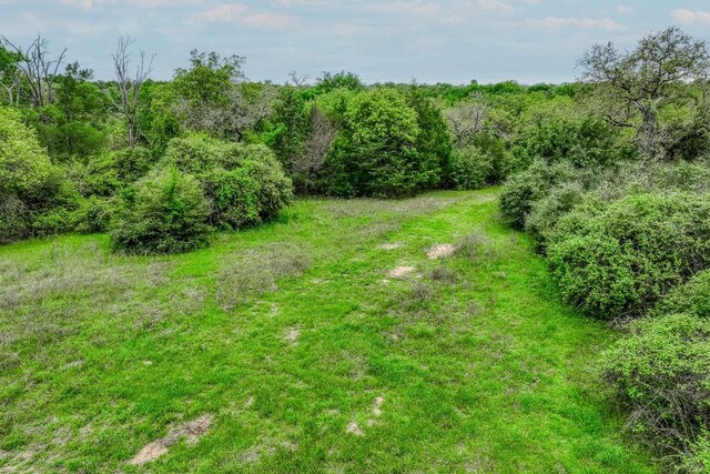 TBD(349.84Acres) County Road 125, Ledbetter, TX 78946 - photo 9