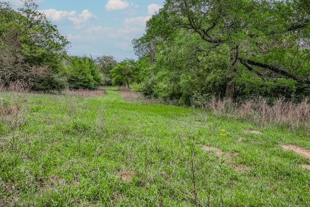 TBD(349.84Acres) County Road 125, Ledbetter, TX 78946 - photo 11