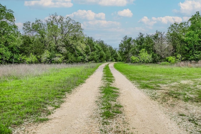 TBD(349.84Acres) County Road 125, Ledbetter, TX 78946 - photo 16