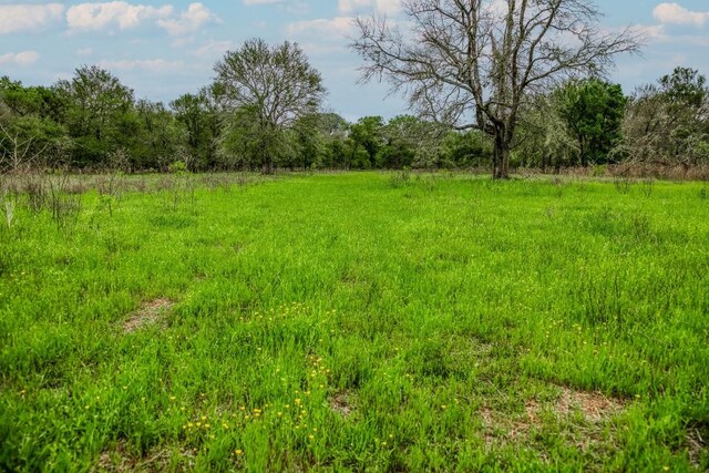 TBD(349.84Acres) County Road 125, Ledbetter, TX 78946 - photo 17