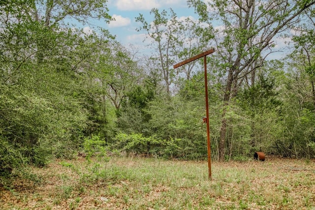 TBD(349.84Acres) County Road 125, Ledbetter, TX 78946 - photo 19