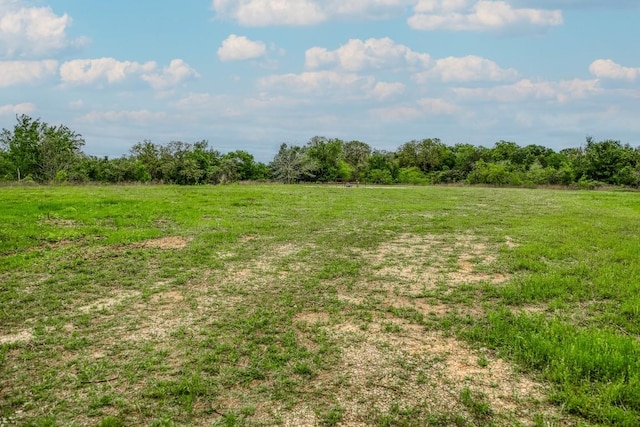 TBD(349.84Acres) County Road 125, Ledbetter, TX 78946 - photo 20