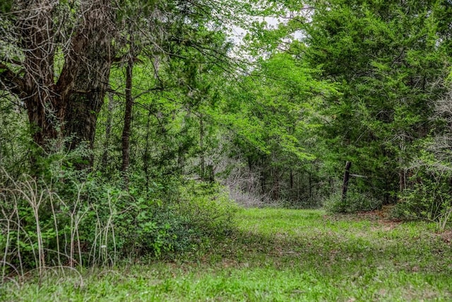 TBD(349.84Acres) County Road 125, Ledbetter, TX 78946 - photo 22