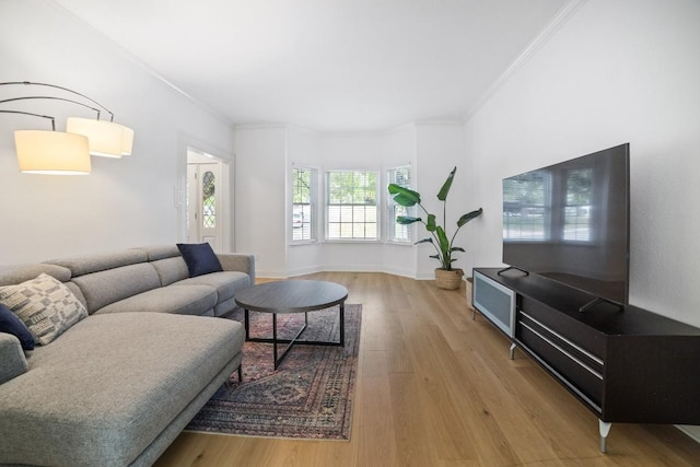 1702 Crested Butte Dr, Austin, TX 78746 - living room with ornamental molding and wood finished floors