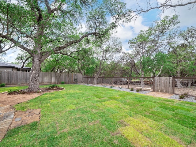 2912 Norton Ave, Lago Vista, TX 78645 - view of fenced backyard