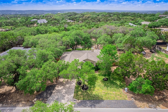 2912 Norton Ave, Lago Vista, TX 78645 - bird's eye view of a heavily wooded area