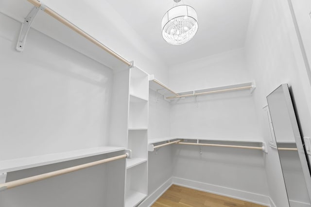 1113 Walton Ln Unit 1, Austin, TX 78721 - photo 20