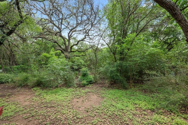 1511 Terrapin Ct Unit B, Austin, TX 78746 - photo 25