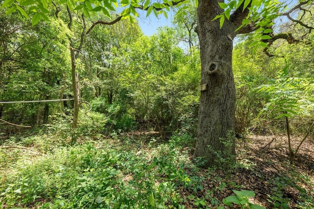 1511 Terrapin Ct Unit B, Austin, TX 78746 - view of tree filled area