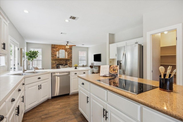 9007 Tweed Berwick Dr, Austin, TX 78750 - kitchen with appliances with stainless steel finishes, a sink, a fireplace, a wealth of natural light, and visible vents