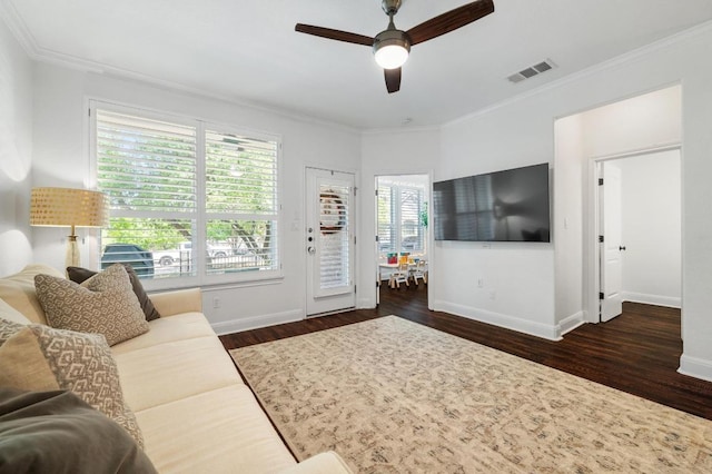 108 Perpetuation Dr Unit 802, Lakeway, TX 78734 - living area featuring a ceiling fan, wood finished floors, baseboards, and ornamental molding