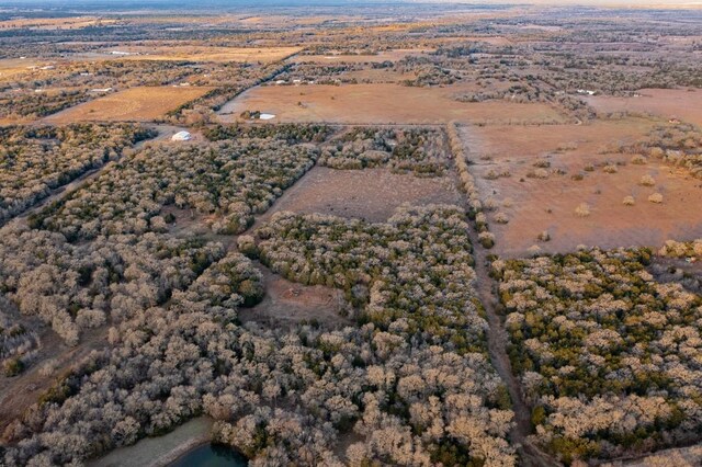 0000TBD21/-AC Grassyville Rd, Paige, TX 78659 - photo 15